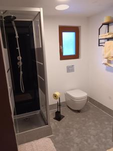 a bathroom with a shower and a toilet at Haus Gratz in Bach