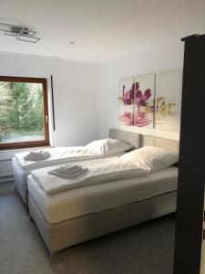 two beds in a room with a window at FeWo Wald Idyllika in Willingen