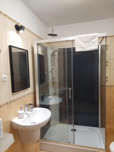 a bathroom with a shower and a sink at SAS Apartamenty Green Park in Szczecin