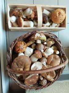 two baskets filled with mushrooms on a table at Ubytování na Lipně in Černá v Pošumaví