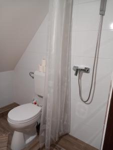 Kúpeľňa v ubytovaní Boglárka Vendégház Tiszalök