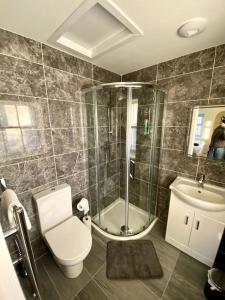 a bathroom with a toilet and a shower and a sink at West Lodge 3 bedrooms, near golf course and river in Turriff