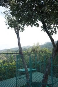Afbeelding uit fotogalerij van SpiceBuds TreeHouse - Idukki in Ramakkalmedu