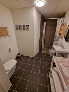 bagno con servizi igienici e lavandino di Marielyst Sleep´n Go a Væggerløse