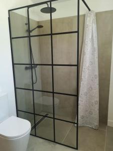 baño con aseo y puerta de ducha de cristal en Casita de la Higuera, en Jávea 17 fotos más