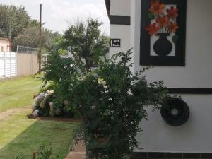a tree in a yard with a painting on the wall at Klein Parys in Parys