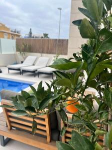 een sinaasappelboom op een patio naast een zwembad bij Casa Flore-Lou in Orihuela-Costa