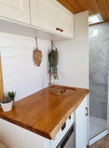 a kitchen with a sink in a tiny house at The Feather Van in Puerto del Rosario