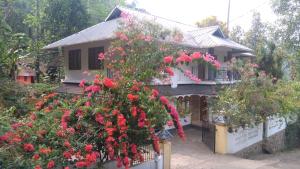 Zahrada ubytování Dream Nest Homestay