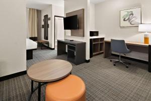 TV a/nebo společenská místnost v ubytování Comfort Suites Fort Worth North Fossil Creek