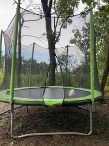 Fotografie z fotogalerie ubytování Vila Leul v destinaci Jupiter