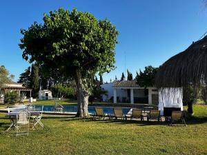 un grupo de sillas, una mesa y un árbol en Finca Duende - Adults Only, en Hozanejos