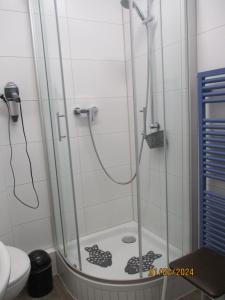 Koupelna v ubytování Ferienwohnung Janne + 20 fotografií