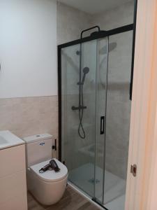 ducha con puerta de cristal junto a un aseo en Puerta de Hierro Apartments, en Madrid