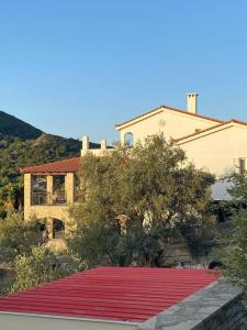 uma casa grande com um tapete vermelho em frente em Villa Vlamari em Vathý