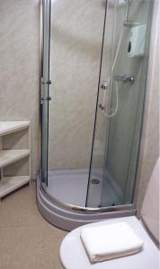 a bathroom with a shower with a sink and a toilet at Saxa Guesthouse in Stöðvarfjörður