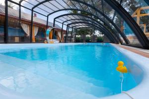 a swimming pool with a rubber duck in the water at Agroturystyka Kalinka in Wiżajny