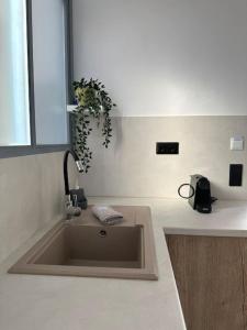 a sink in a kitchen with a plant above it at Fouli,Syros Apartment,Ermoupoli in Ermoupoli