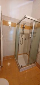 La salle de bains est pourvue d'une douche avec une porte en verre. dans l'établissement Jesolo Living at Golf Club Jesolo, à Jesolo