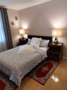 Postel nebo postele na pokoji v ubytování Appartement Cartier 2