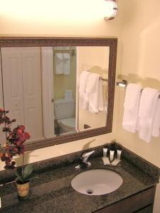 a bathroom with a sink and a mirror and a toilet at Staybridge Suites Harrisburg-Hershey, an IHG Hotel in Harrisburg