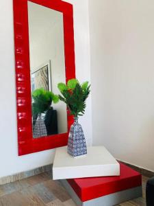 a vase with a plant on a table in front of a mirror at HOTEL BELLAMAR in Cartagena de Indias