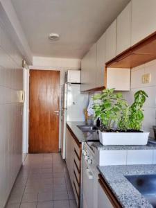 a kitchen with a counter with potted plants on it at Departamento en barrio Martin in Rosario