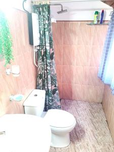 a bathroom with a toilet and a shower curtain at Traveller's casa closer to highway in Homagama