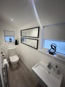 a bathroom with a toilet and a sink and two windows at The Harbour Cottage in Peterhead +20 photos