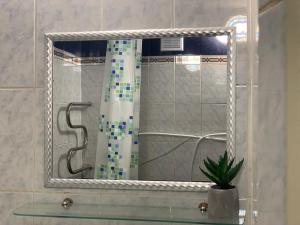 a mirror in a bathroom with a shower at Уютные апартаменты недалеко от вокзала in Kyiv