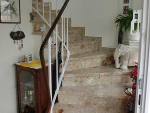 ブクステフーデにあるFerienwohnung Zentrum Buxtehudeの犬家の階段