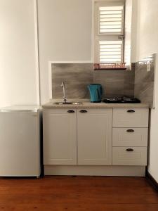 a kitchen with a sink and a refrigerator at Catherine Suites in Willemstad