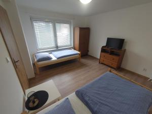 a bedroom with two beds and a television in it at Privat Apartment Zdenko in Ostrava