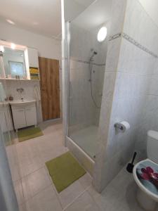 a bathroom with a shower with a sink and a toilet at Privat Apartment Zdenko in Ostrava