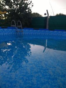 una piscina con acqua blu in un cortile di Cabaña La Florencia Domselaar a Domselaar