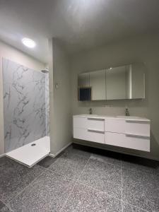 La salle de bains est pourvue d'un lavabo blanc et d'une douche. dans l'établissement Chez Victorine Zulte, à Zulte