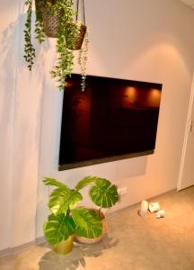 a flat screen tv hanging from a wall with two plants at The Flowerhouse in Zandvoort