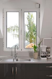 a kitchen with a sink and two windows at Casa das Eiras, Nº48 in Santana