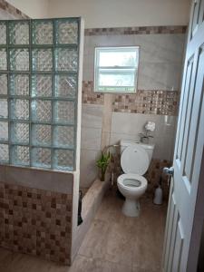 a small bathroom with a toilet and a window at Teverence in Sandy Point Town