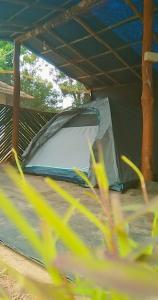 una tienda que está sentada en el suelo en Coorg Derala Camping Tent House, en Madikeri