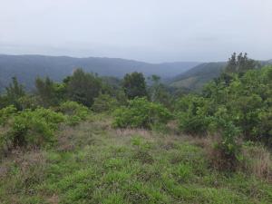 Kalnų panorama iš palapinėje su patogumais arba bendras kalnų vaizdas