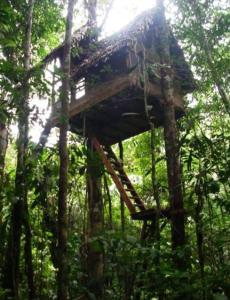 a large wooden structure in the middle of a forest at Reserva Natural Tanimboca in Leticia