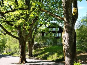 una fila de árboles delante de una casa en B&B Langenberg en Langnau am Albis