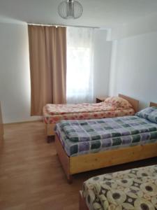 1 Schlafzimmer mit 2 Betten und einem Fenster in der Unterkunft Apartament S&F in Dej