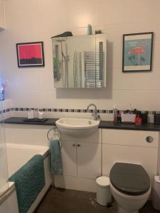 a bathroom with a sink and a toilet and a mirror at Cosy room 10 min from beach in Brighton & Hove
