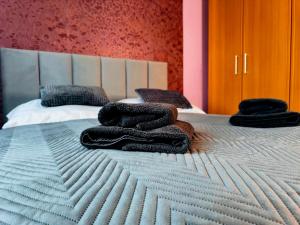 - 2 lits avec des serviettes assises au-dessus dans l'établissement Apartmán Green, à Nitra