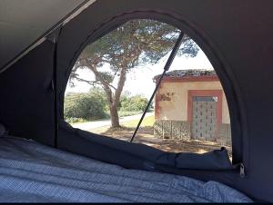 Fotografie z fotogalerie ubytování Ford Transit Custom Camper v destinaci Palma de Mallorca