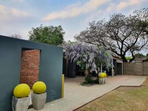 a building with a flowering tree with purple flowers at Che La Moir Guesthouse in Bloemfontein