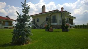 a house with a christmas tree in the yard at Mouses Apartments in Kastoria