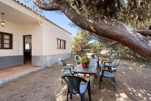 a table and chairs sitting under a tree at Casa Epina in Vallehermoso